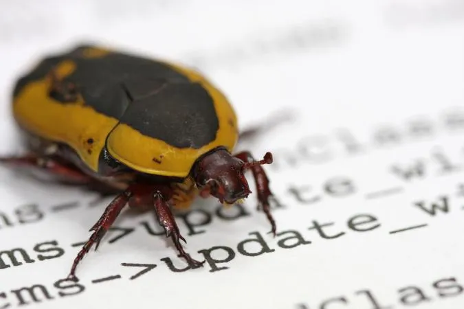 XRP Ledger bug fix delayed to November following a validator support drop