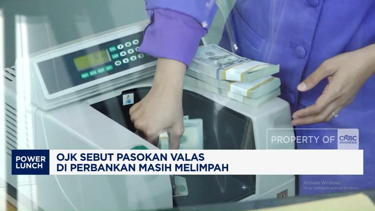 Video: OJK Sebut Pasokan Valas di Perbankan Masih Melimpah