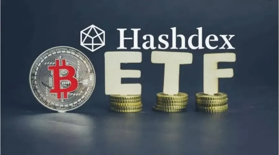 Hashdex завершает ликвидацию спотового биткоин-ETF DEFI после запуска в 2024