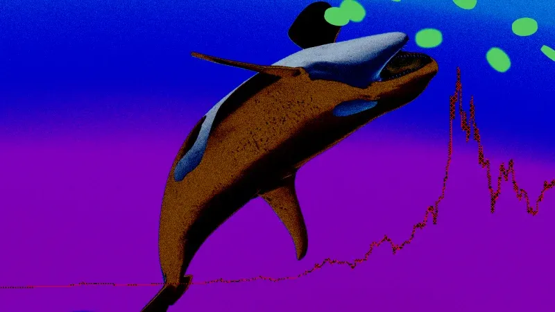Bitcoin whales on Hyperliquid push net long positions to 2026 high