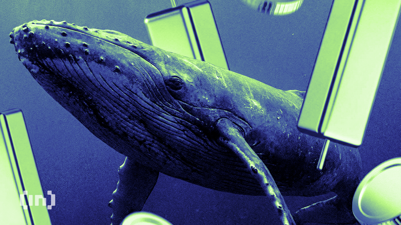 Инстинкт китов: крупные игроки переиграли толпу на пути BTC к $80 000