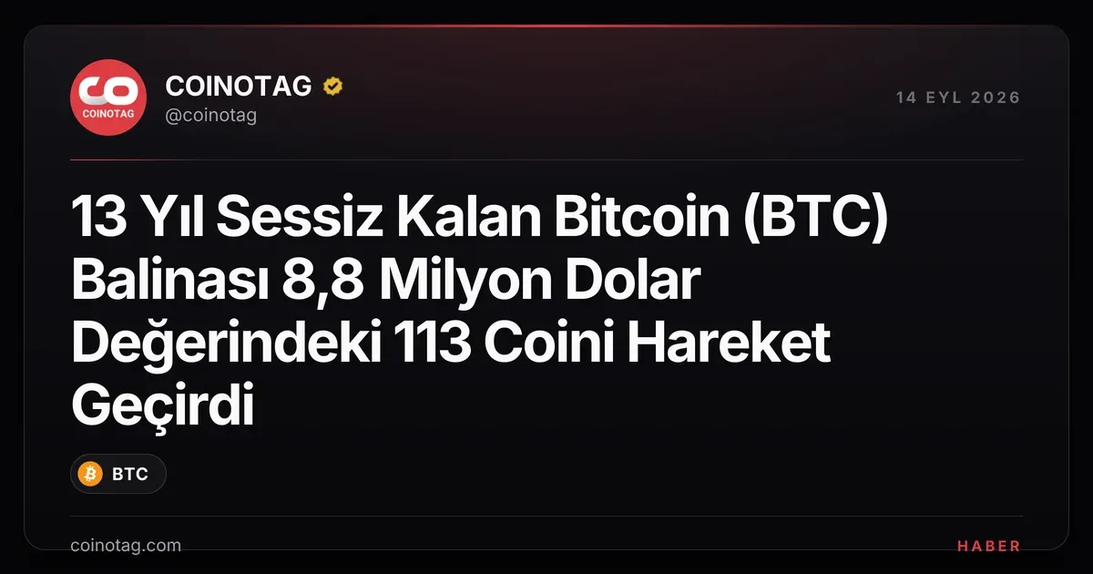 13 Yıl Sessiz Kalan Bitcoin (BTC) Balinası 8,8 Milyon Dolar Değerindeki 113 Coini Hareket Geçirdi