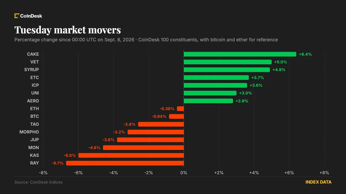 Bitcoin dips to $78,800 as BNB Chain and DeFi tokens show resilience