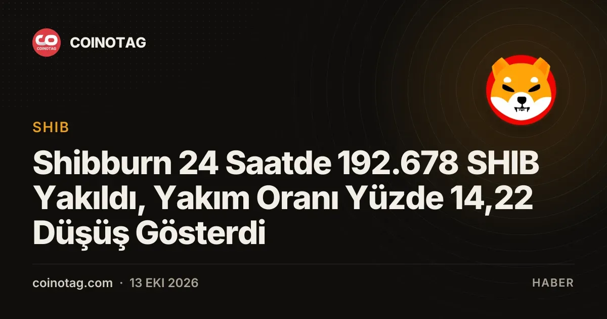 192.678 SHIB yakimi ile gunluk yakim oraninda yuzde 14,22 oraninda dusus yasandi