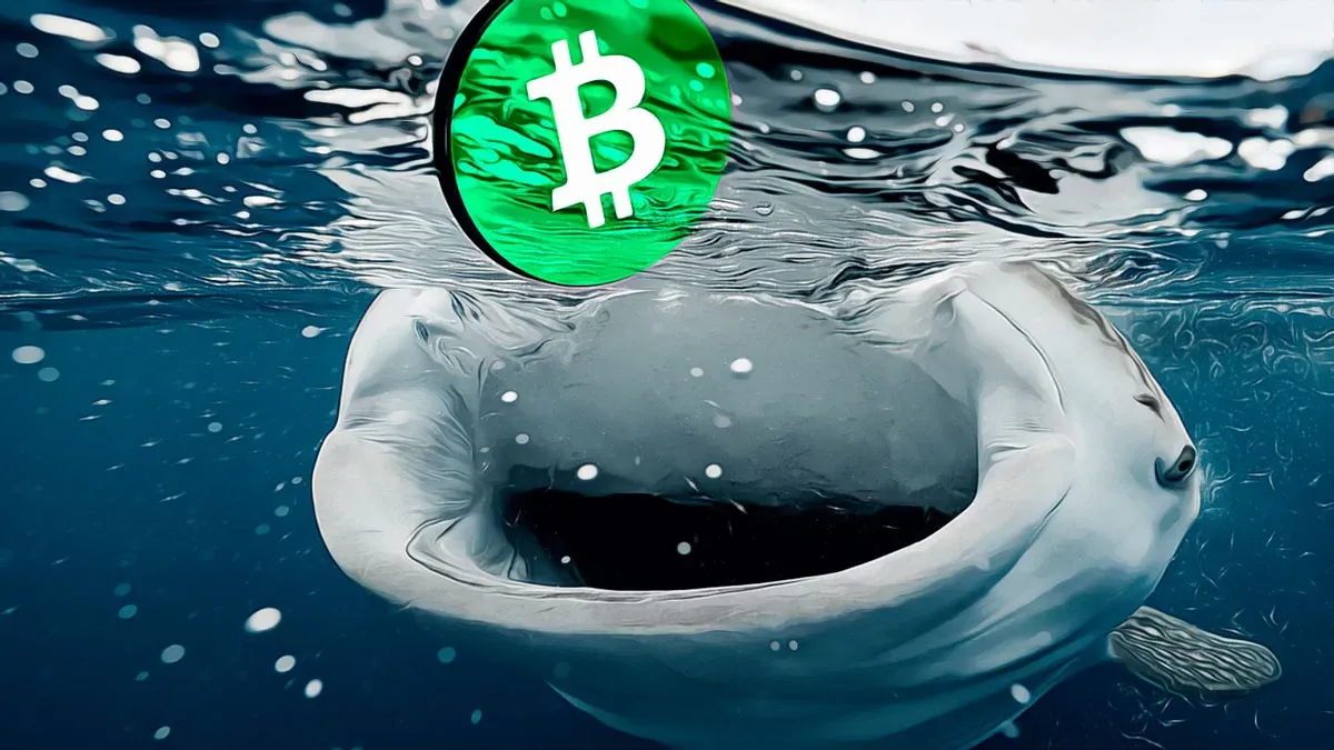 Peter Schiff: SEC, Michael Saylor’un STRC Açıklamalarını İncelemeli
