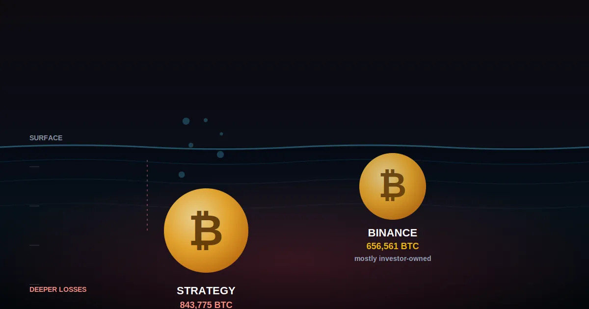 بحيازة تفوق منصة بينانس: شركة “Strategy” تتصدّر قائمة خسائر البيتكوين غير المحققة