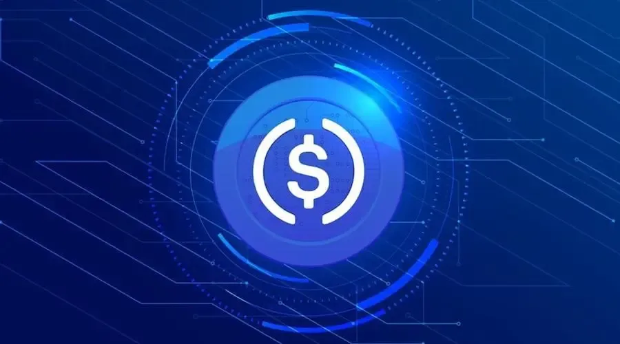 Илон Маск рассматривает выплаты стейблкоинами авторам контента в X
