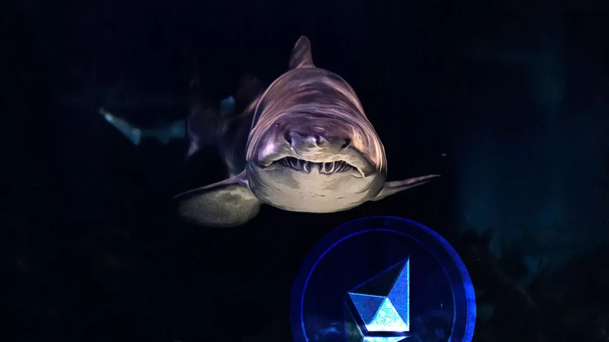 Ethereum Yatırımcıları Uzun Vadeli Destek Seviyelerine Odaklandı