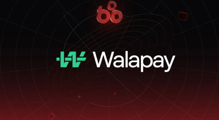 Walapay là gì? Hạ tầng API kết nối tiền pháp định và stablecoin